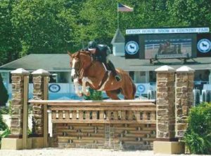 Nick Haness and Banderas owned by Ecole Nauber High Performance Hunter 2015 Devon Horse Show