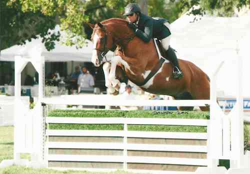 Nick Haness and Ecole Lathrop's Banderas Reserve Champion High Performance Hunter 2015 Menlo Charity Horse Show Photo Deb Dawson