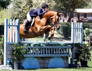 Taylor Siebel and Pure Abundance Amateur Owner Hunter 18-35 2013 Blenheim Fall Tournament Photo Captured Moment Photography