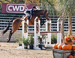 Teddi Mellencamp and Truman owned by Laura Wasserman Regular Conformation Hunter 2011 Los Angeles National