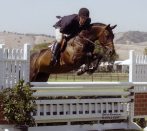 Victory Road and Archie Cox owned by Harriet Posner Champion 2nd Year Green 2011 Blenheim Summer Classic II Photo Captured Moment Photo