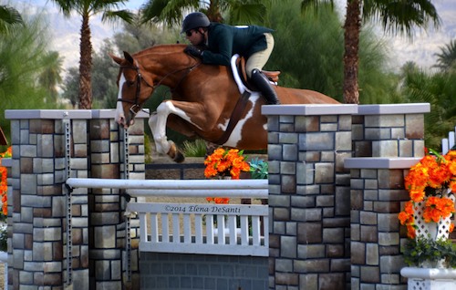 Ecole Lathrop's Banderas 2015 Performance Horse Registry Silver Stirrup National Champion High Performance Hunter Photo Elena DeSanti