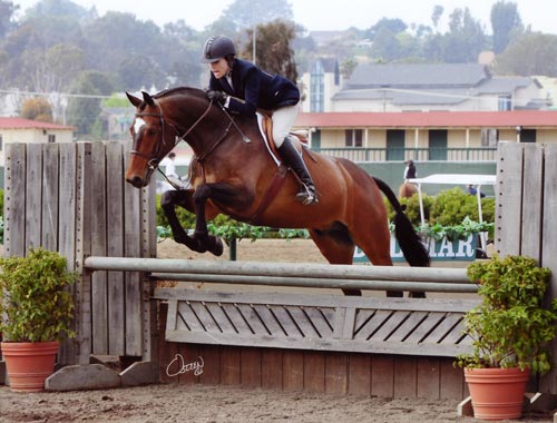 Joan Hasteltine and Biltmore Amateur Owner Hunters 2011 Del Mar National Photo Osteen