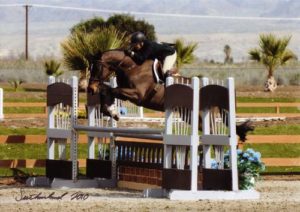 Laura Wasserman and Czech Winner A-O Hunters 36 & Over 2010 HITS Desert Circuit Photo Flying Horse