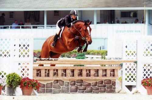 Laura Wasserman and Overseas Amateur Owner Hunters 36 & Over 2007 Devon Horse Show Photo Randi Muster