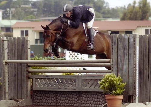 Laura Wassermans Quality Time 2006 National Champion Regular Conformation Photo by Ed Moore