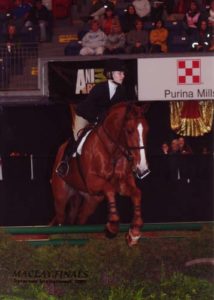 Lucy Davis and Patrick owned by Old Oak Farm ASPCA Finals 2009 Syracuse Invitational Photo Reflections