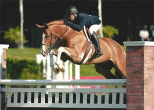 Nick Haness and Ecole Nauber's Banderas 3rd Place WCHR 2015 Blenheim