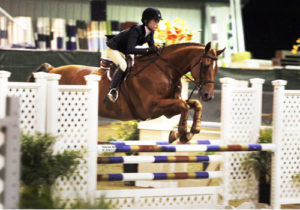 Olivia Champ Reserve Champion Rosewood Medal Finals 2010 Los Angeles Equestrian Center Photo Maria Morgan