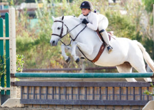 Stella Wasserman Champion Small Pony Hunter 2015 National Sunshine Series