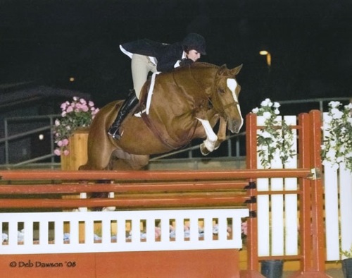 Tina Dilandri and Wesley Champion Small Junior Hunters 2008 Scottsdale Spring Classic Photo Deb Dawson