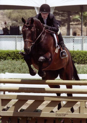 Ashley Pryde and Serenade Regular Working Hunters 2008 Showpark Photo Captured Moment