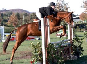 Chelsea Samuels and Adele Low A/O Hunters 18-35 2013 Blenheim Fall Tournament Photo Captured Moment Photography