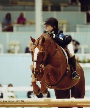 Hunter Siebel and Pure Abundance owned by Mountain Home Stables Large Junior Hunter 15 & Under 2014 Devon Horse Show Photo The Book LLC