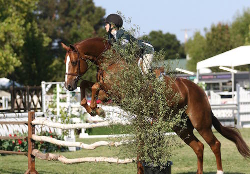 Hunter Siebel and Pure Abundance Champion Large Junior Hunter 2015 Menlo Charity Horse Show