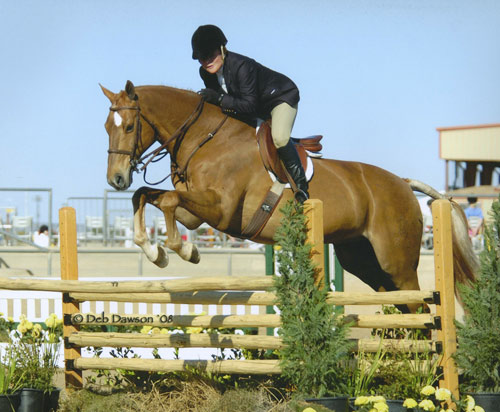 Jane Fraze and Mandarin Reserve Champion A/O Hunters 2008 Scottsdale Spring Classic Photo Deb Dawson