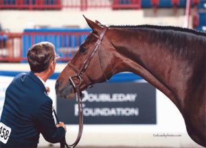 John French and Laura Wasserman's Boss Champion Green Conformation Hunter 2015 Pennsylvania National Photo Al Cook