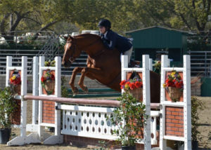 Lily Blavin and Sander Large Junior Hunter 15 & Under 2013 Los Angeles Equestrian Center
