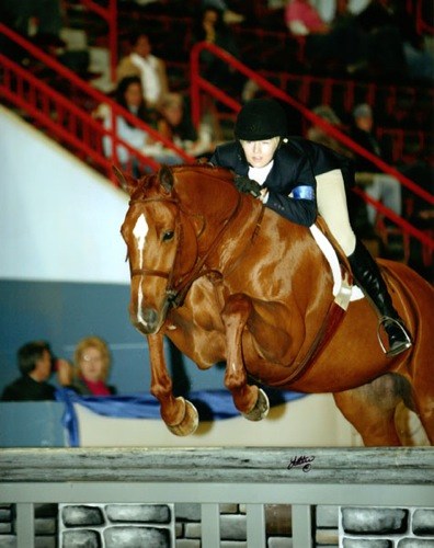 Lucy Davis and Red Rooster Small Junior Hunter 15 & Under Winner of Stake 2008 Pennsylvania National Photo Anne K Gittens