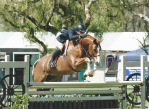 Nick Haness and Ecole Nauber's Banderas Champion High Point Performance Hunter 2015 Blenheim Spring Classic I Photo Amy McCool
