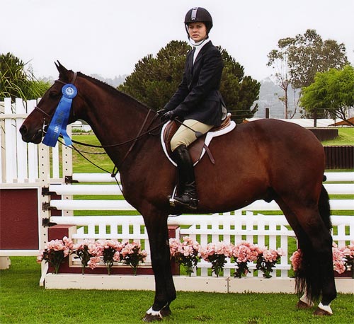 ONeill owned by De Luz Meadows LLC Champion Small Junior 16-17 2003 Junior Hunter Finals Photo JumpShot