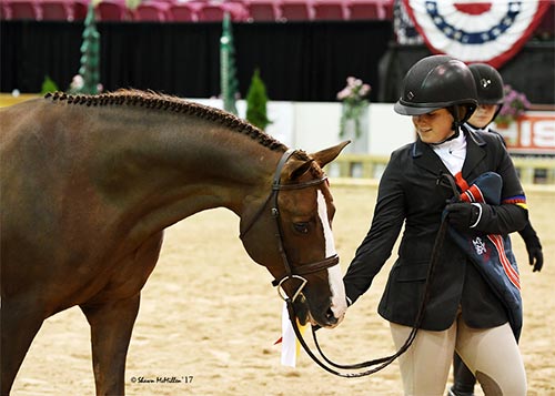 Stella Wasserman and Benetton Reserve Champion Large Pony Hunter 2017 Capital Challenge Photo by McMillen