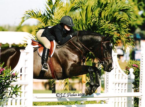 Stephanie Danhakl and Traditions 2002 National Horse Show Photo JL Parker