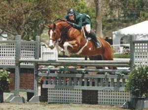 Nick Haness and Banderas owned by Ecole Nauber Champion High Performance Hunter 2014 Ranch & Coast Photo Captured Moment