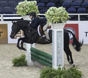 Stella Wasserman and Trillville Medium Pony Hunter 2016 Washington International