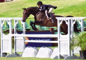 Teddi Mellencamp and Relentless owned by Artisan Farms $10,000 USHJA International Hunter Derby 2010 Showpark Photo Horse in Sport