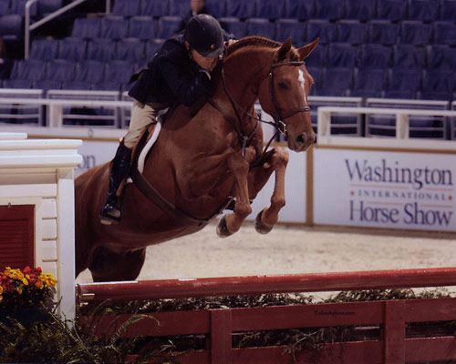 John French and Pringle owned by Ashley Pryde First Year Green Hunter 2008 Washington International Photo Al Cook