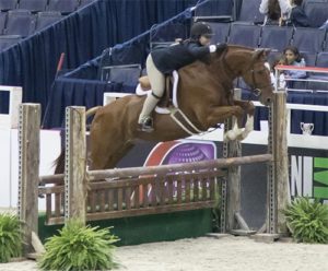 Stella Wasserman and Spellbound Large Pony Hunter 2016 Washington International
