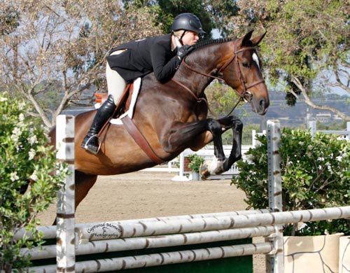 Virginia Fout and Toronto Low Amateur Owner Hunter 2014 Showpark Summer Festival Photo Captured Moment