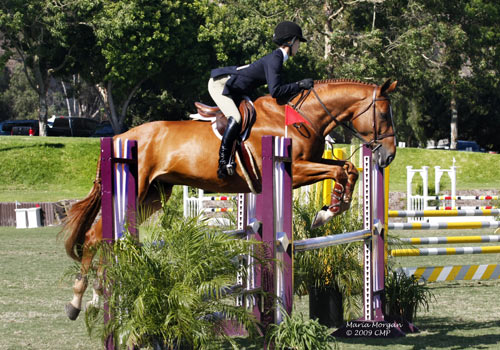 Gabbi Langston Reserve Champion CPHA Foundation medal Finals 21 & Under 2009 Showpark Photo Captured Moment