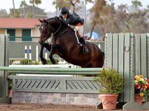 Laura Wasserman and As Always 2017 Del Mar National Photo Osteen
