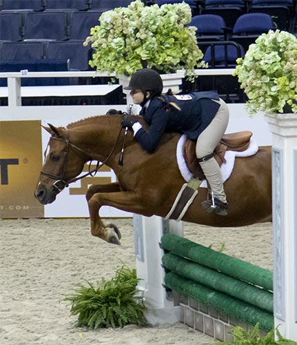 Stella Wasserman and Sportn Around Medium Pony Hunter 2016 Washington International