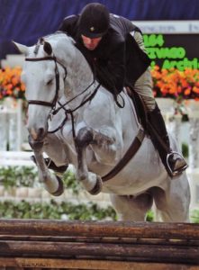 Archie Cox and Zivago owned by Wilder Mountain Farms LLC Regular Conformation 2011 Washington International Photo Shawn McMillen