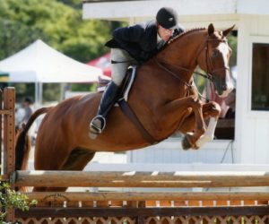 Archie Cox and Laura Wasserman's Rico 2014 Showpark Photo Captured Moment