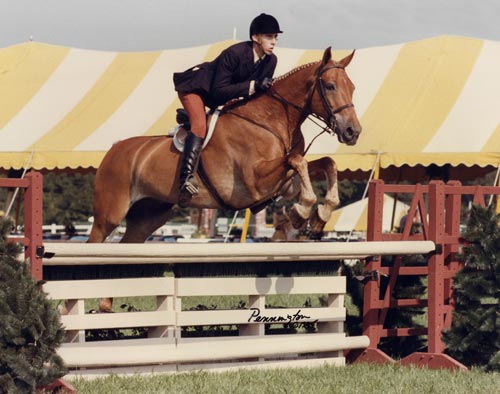 Archie Cox and Private Carrier Open Eq Champion 1985 Hampton Classic Photo Pennington