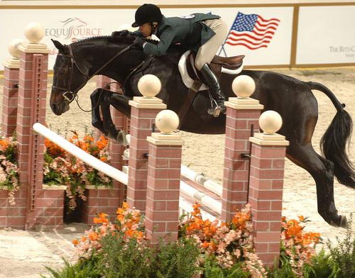 Caroline Clark Morrison and Milan Champion Amateur Owner Hunters 36 & Over 2006 Washington International