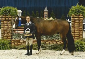 John French and Laura Wasserman's Fine Design Regular Conformation Hunter 2015 Washington International Photo Shawn McMillen