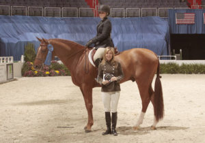 Pringle owned by Ashley Pryde Small Junior Hunter Under Saddle 2010 Washington International Photo Al Cook