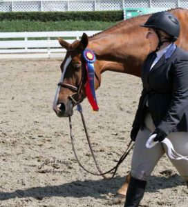 Chelsea Samuels with Adele Champion Low A/O Hunter 18-35 2013 Showpark Summer Classic Photo Captured Moment