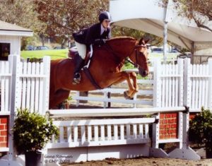 Stacey Lefton Glick on Golden Eye owned by Tanya Levorchick Adult Hunters 2009 Showpark Ranch & Coast Tournament Photo Captured Moment