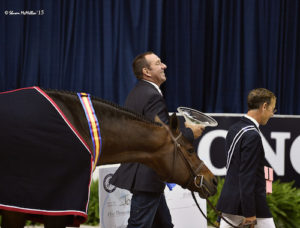 Boss owned by Laura Wasserman Grand Hunter Champion 2015 Washington International Photo Shawn McMillen