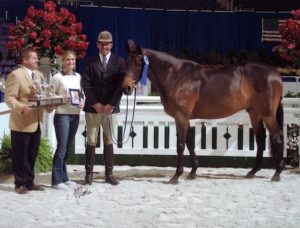 Chance owned by Montana Coady Regular Conformation Hunter 2004 Washington International Photo Al Cook
