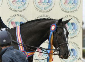 Widget 2013 Del Mar National Photo Osteen