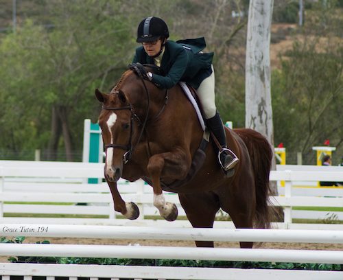 Gina Ross and Appeal Amateur Owner Hunter 2015 Showpark Photo Grace Tuton