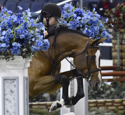 Katherine Dash and Pirouette owned by Shawna Dash Large Junior Hunter 15 & Under 2015 Washington International