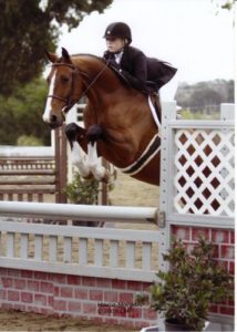 Ashley Pryde and Falcao owned by Brook Flynn Reserve Champion Small Junior Hunters 2009 Showpark Photo by Captured Moment